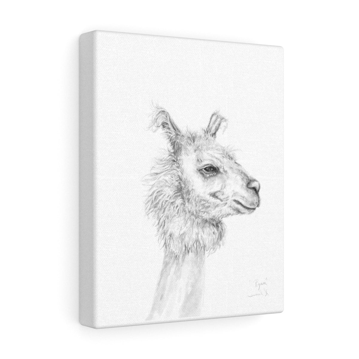 RYAN Llama - Art Canvas