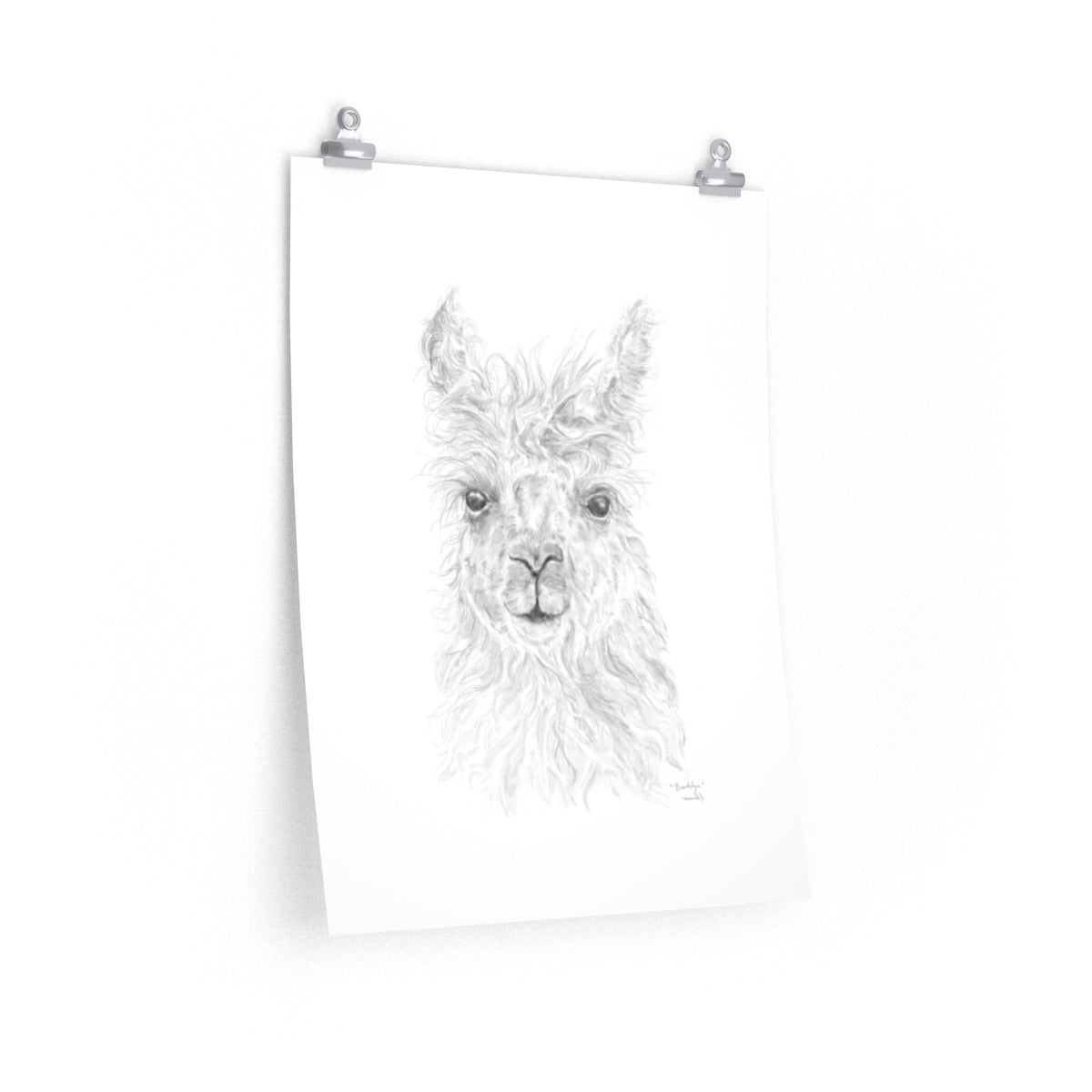 BROOKLYN Llama- Art Paper Print