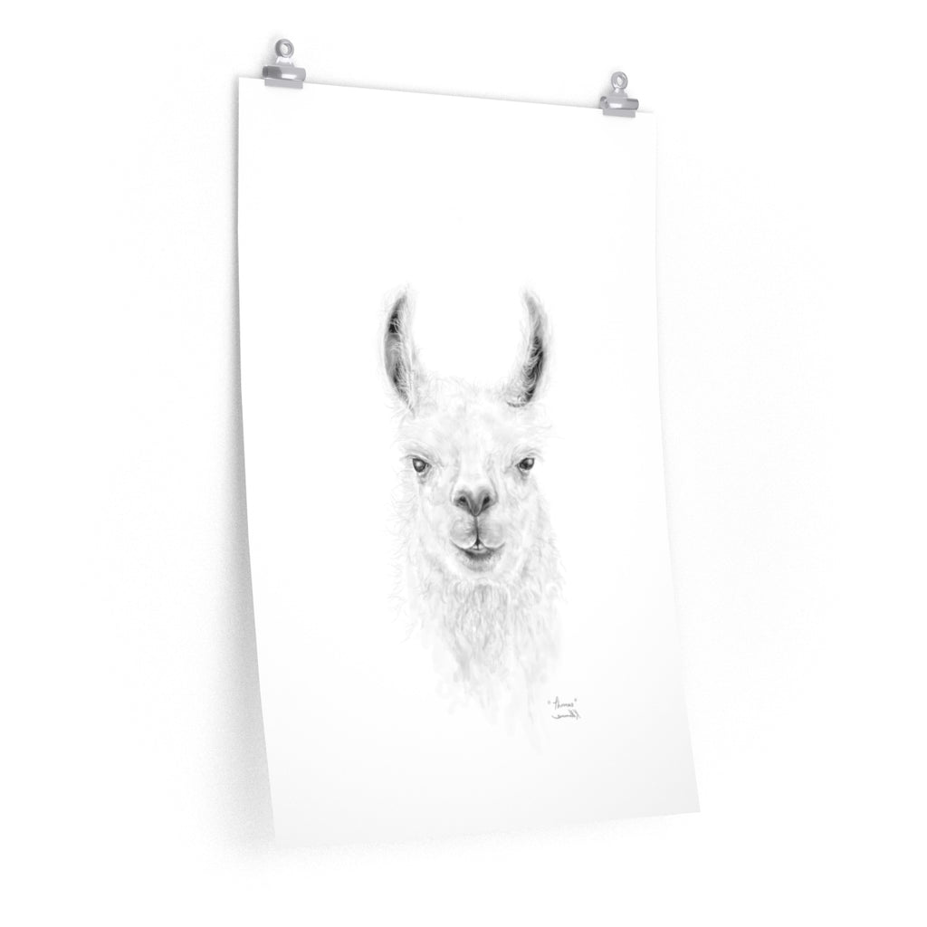 THOMAS Llama- Art Paper Print