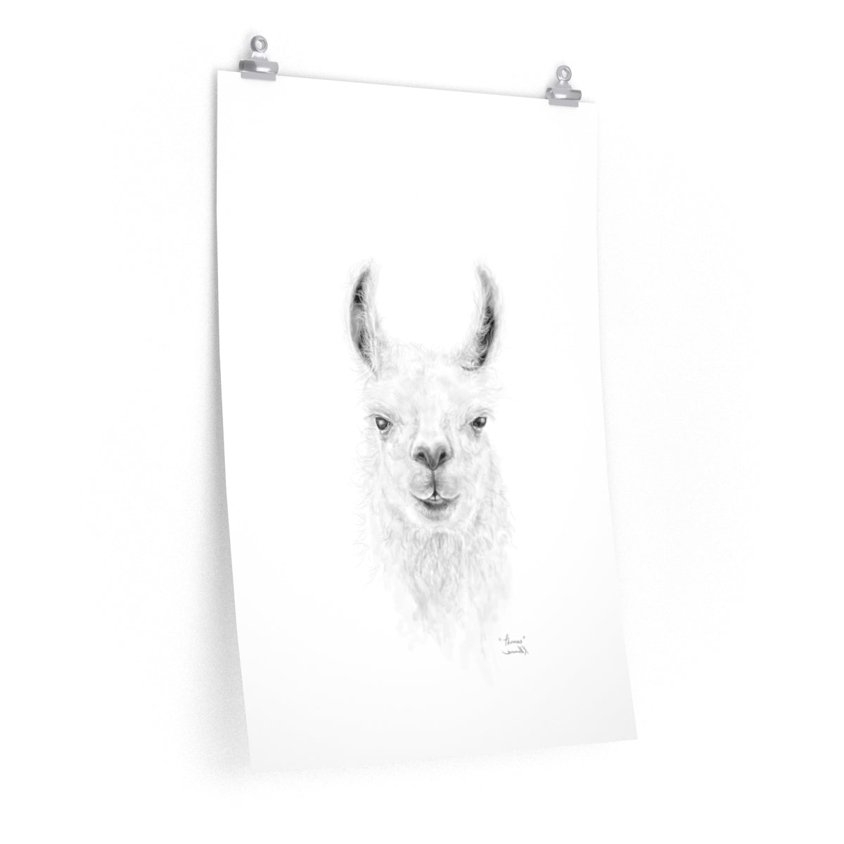 THOMAS Llama- Art Paper Print