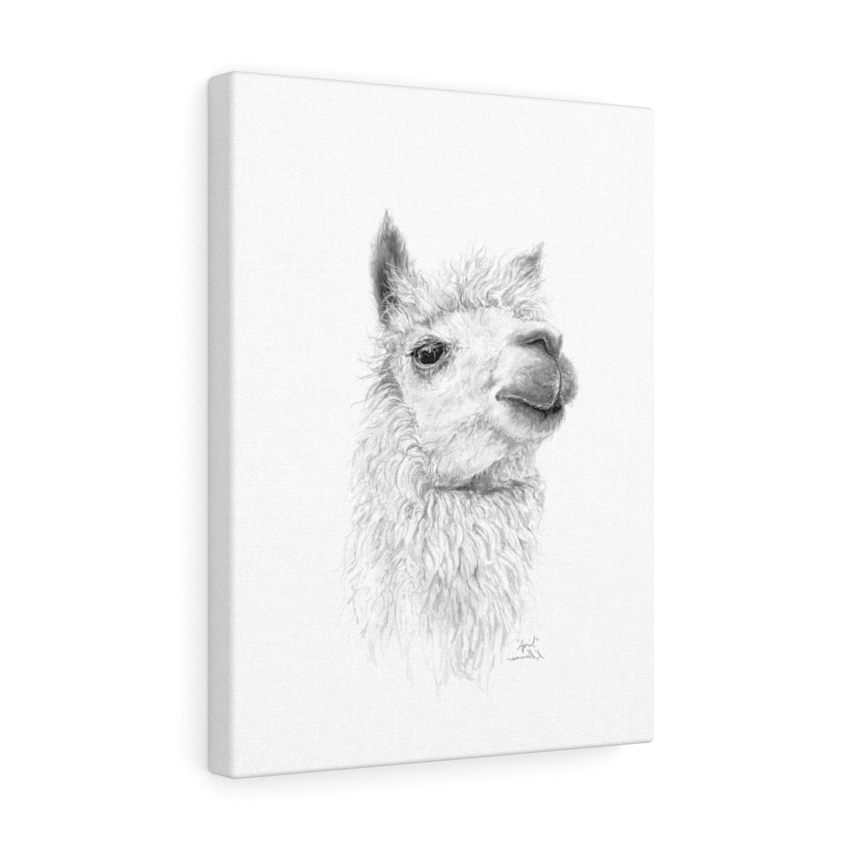 APRIL Llama - Art Canvas