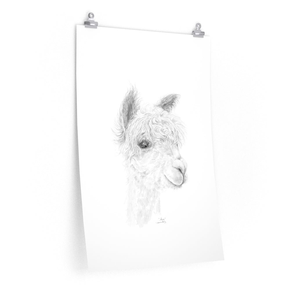 ANNE Llama- Art Paper Print