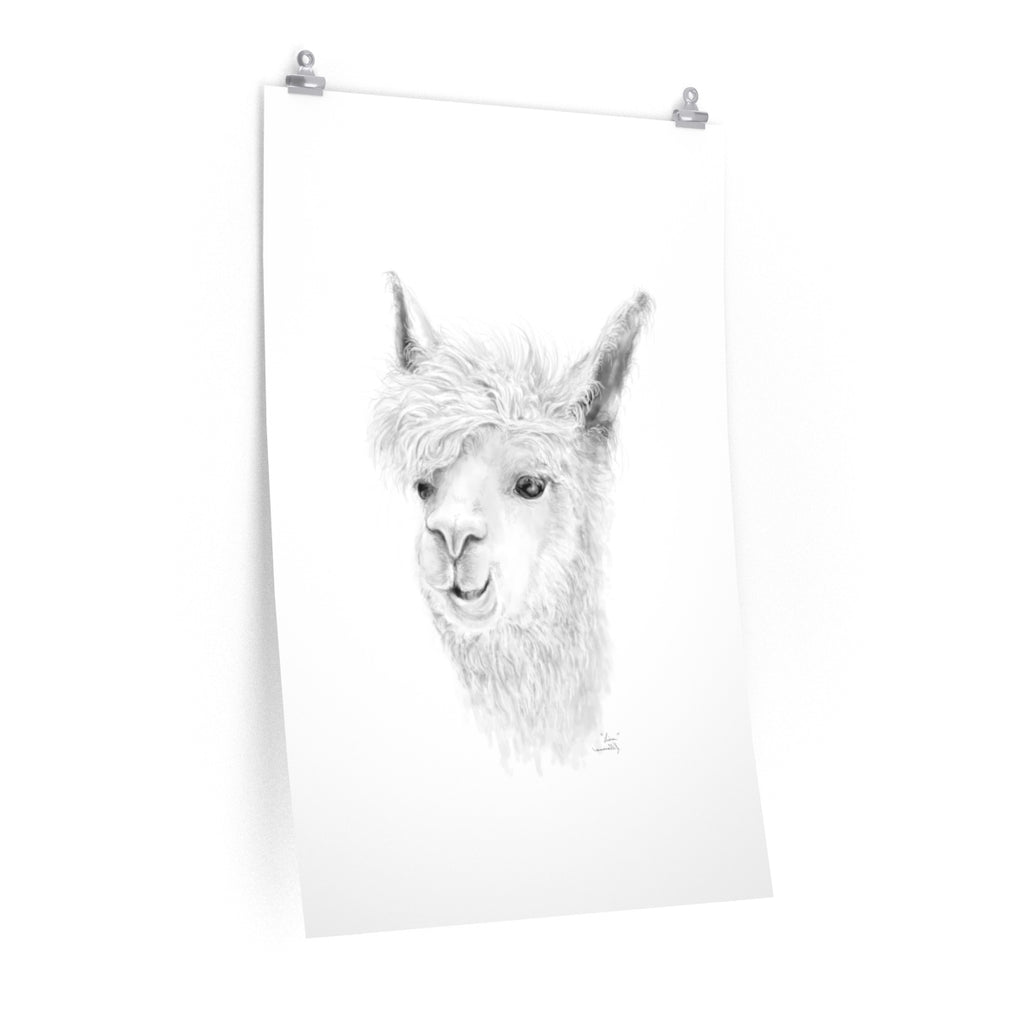LIAM Llama- Art Paper Print