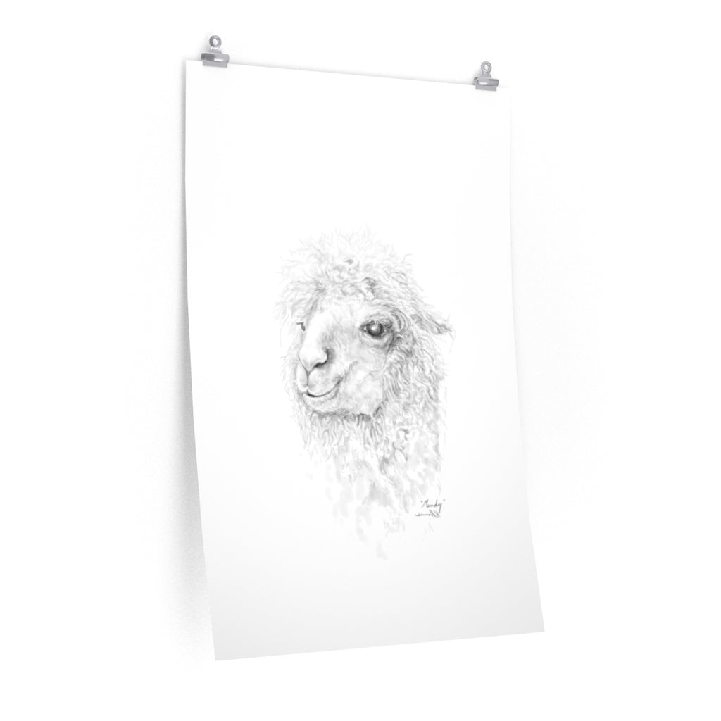 MANDY Llama- Art Paper Print