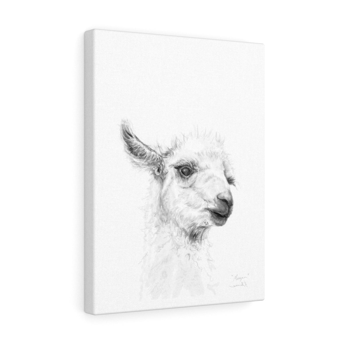 MEAGAN Llama - Art Canvas