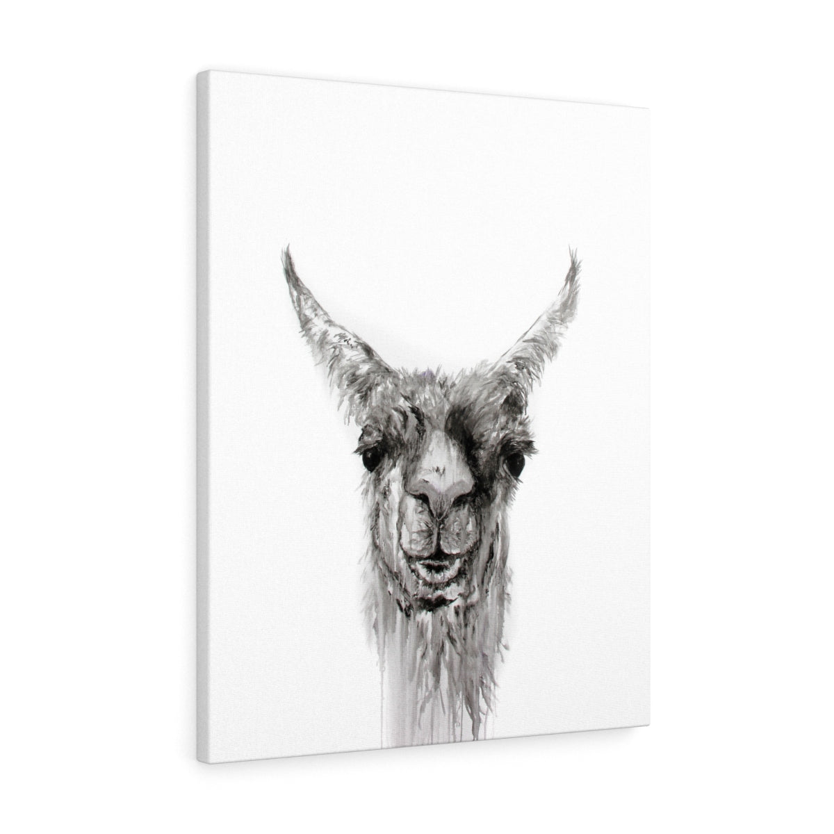 NEMORIO Llama - Art Canvas