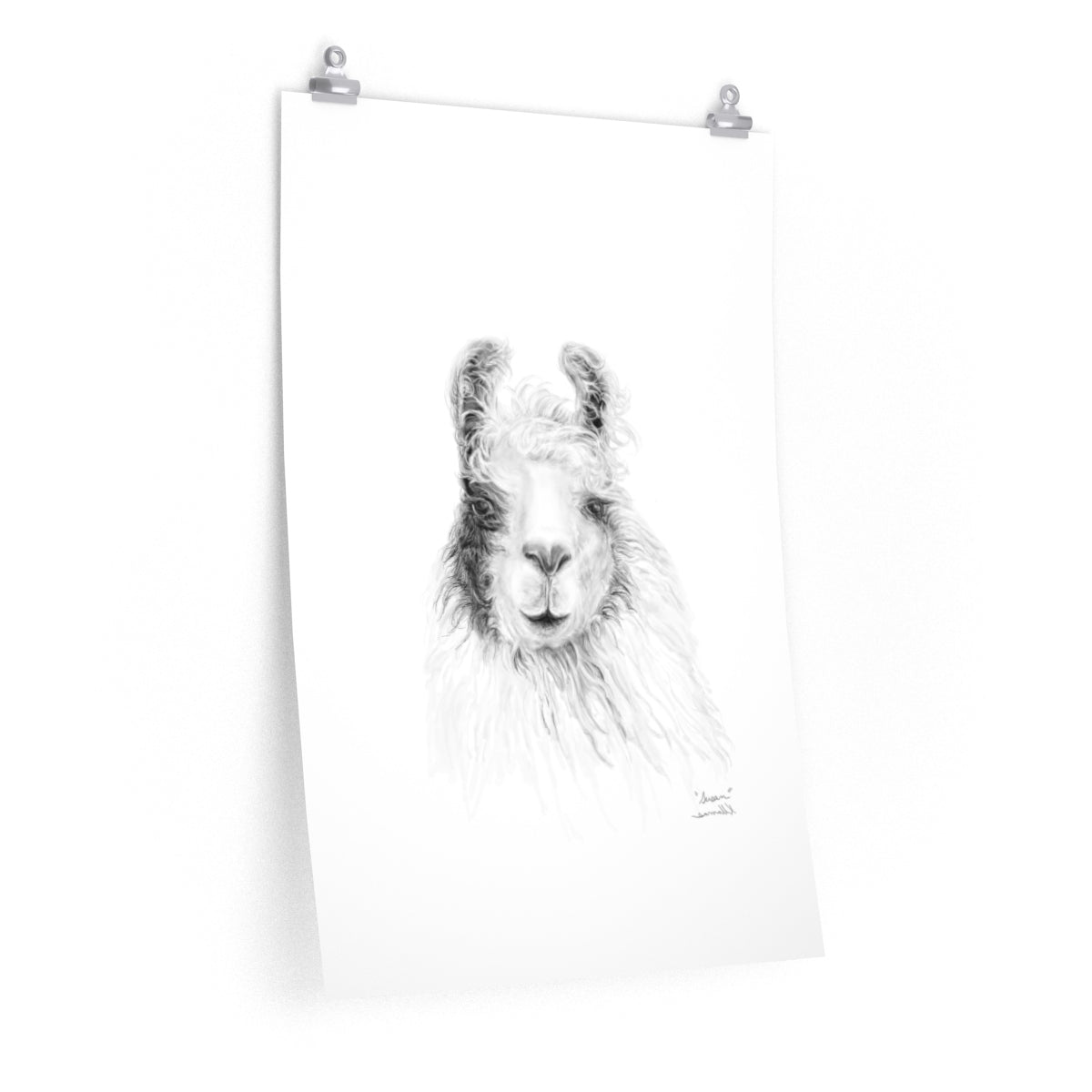 SUSAN Llama- Art Paper Print