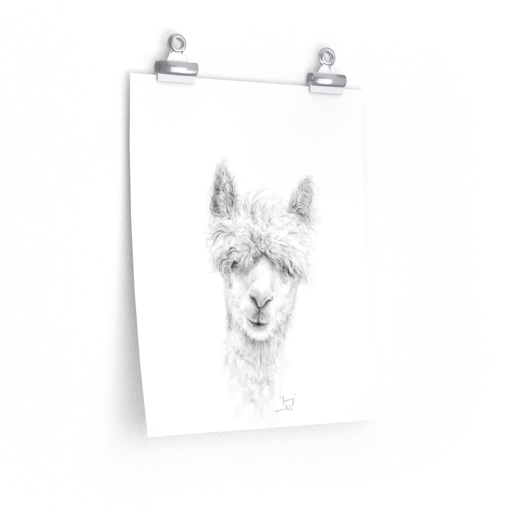 JENNY Llama- Art Paper Print