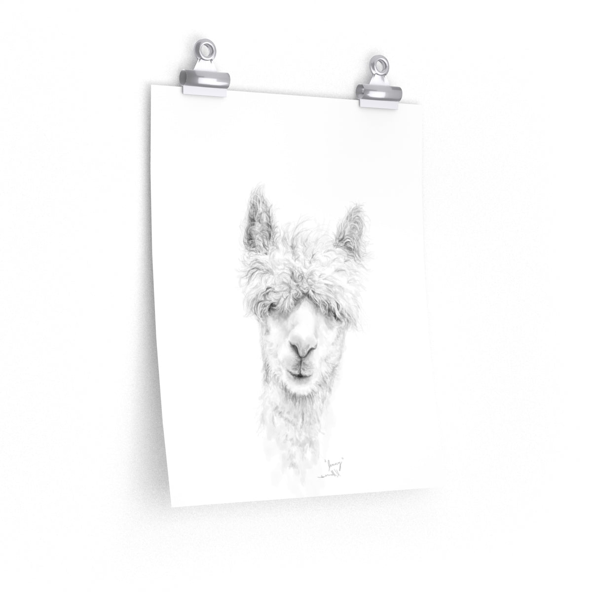 JENNY Llama- Art Paper Print