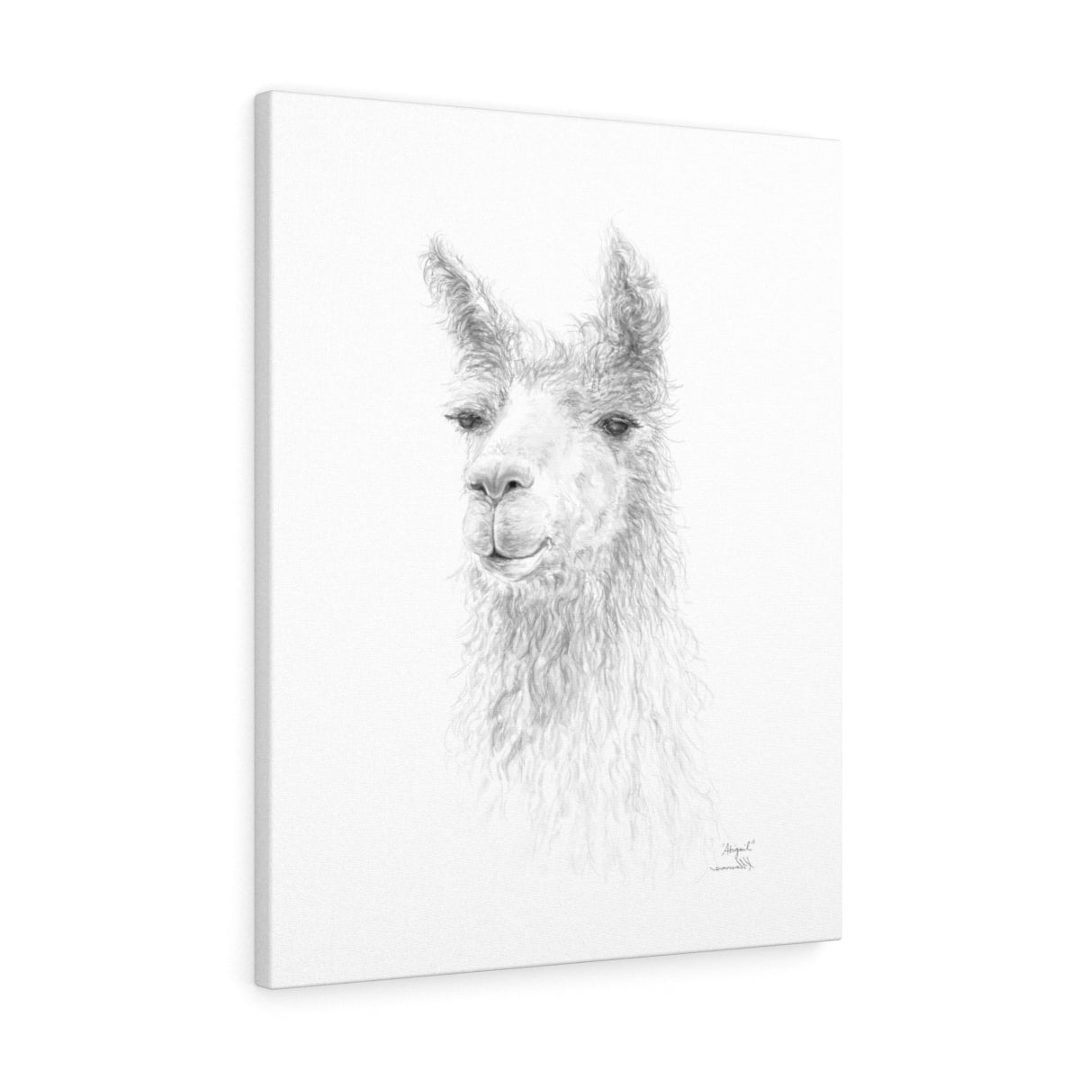 ABIGAIL Llama - Art Canvas