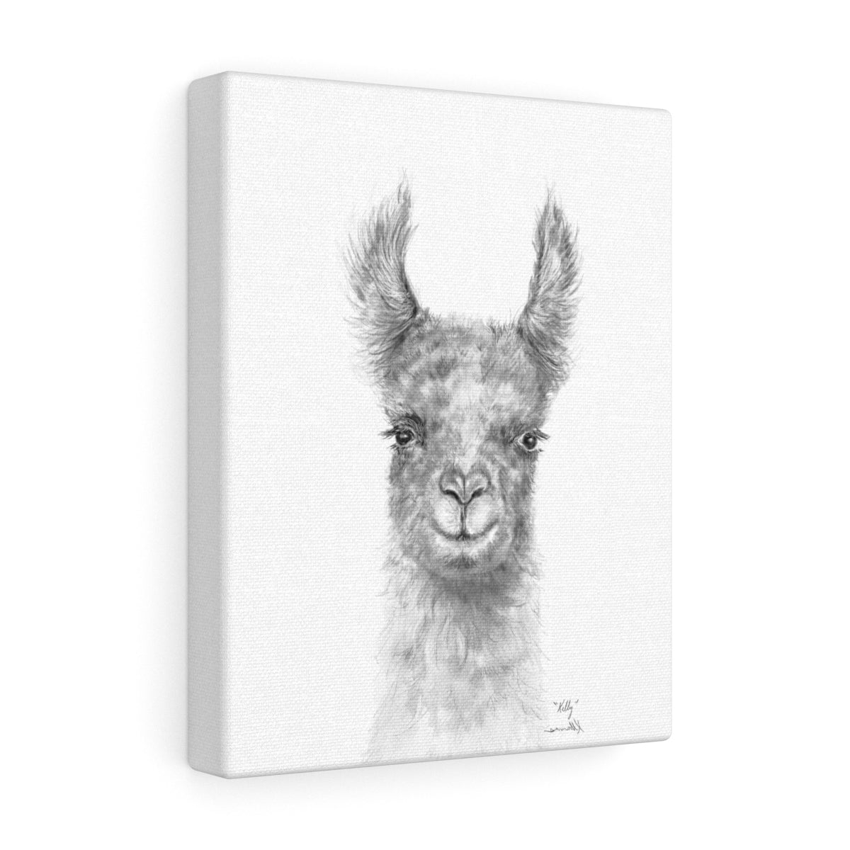 KELLY Llama - Art Canvas