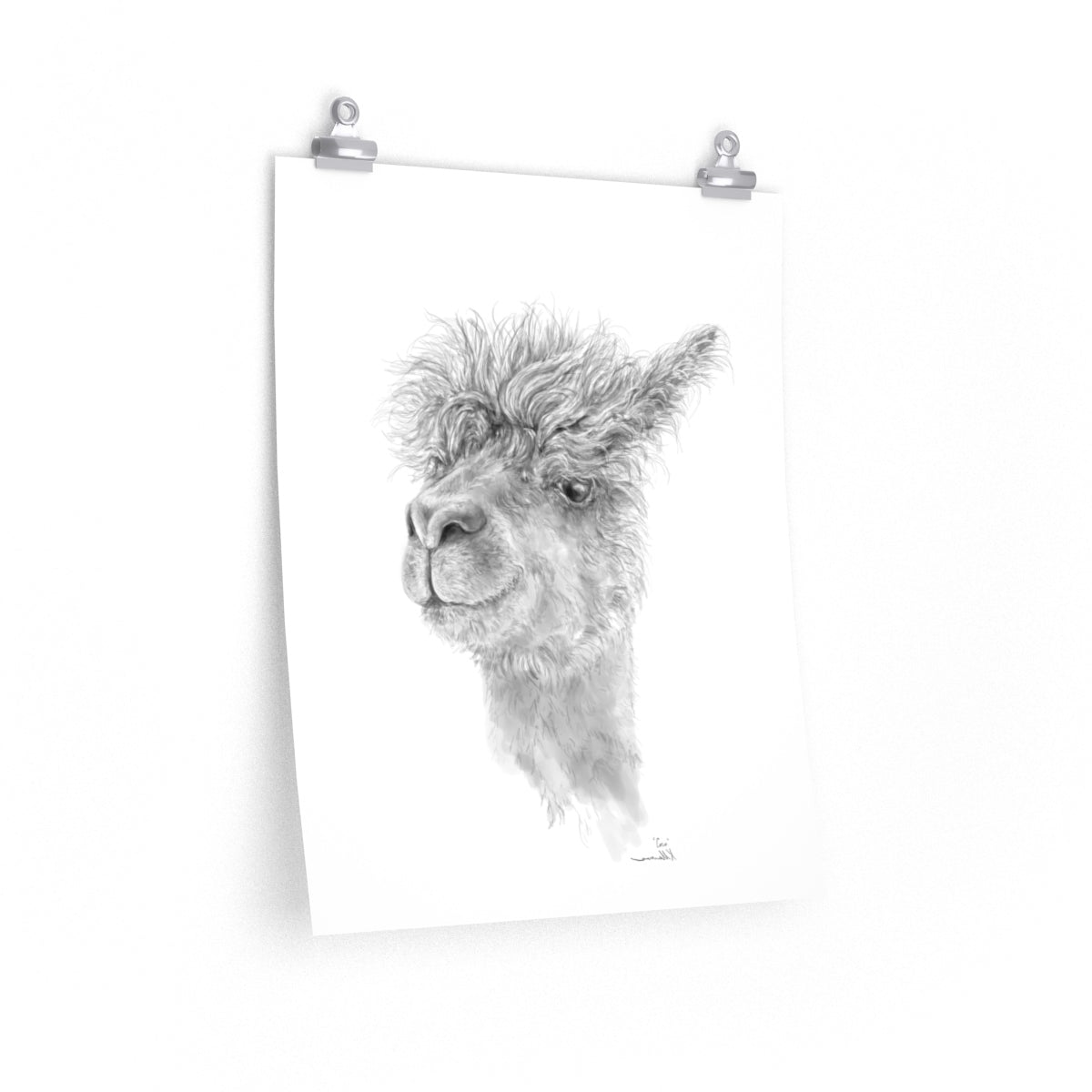 COCO Llama- Art Paper Print