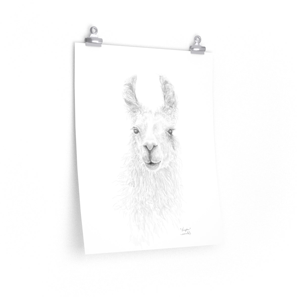 KINGSTON Llama- Art Paper Print