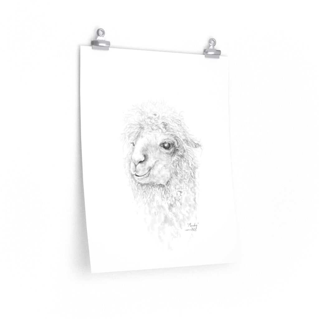 MANDY Llama- Art Paper Print