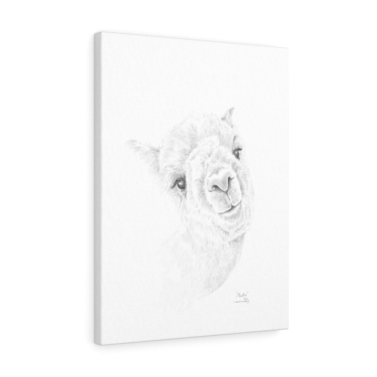 MARTHA Llama - Art Canvas