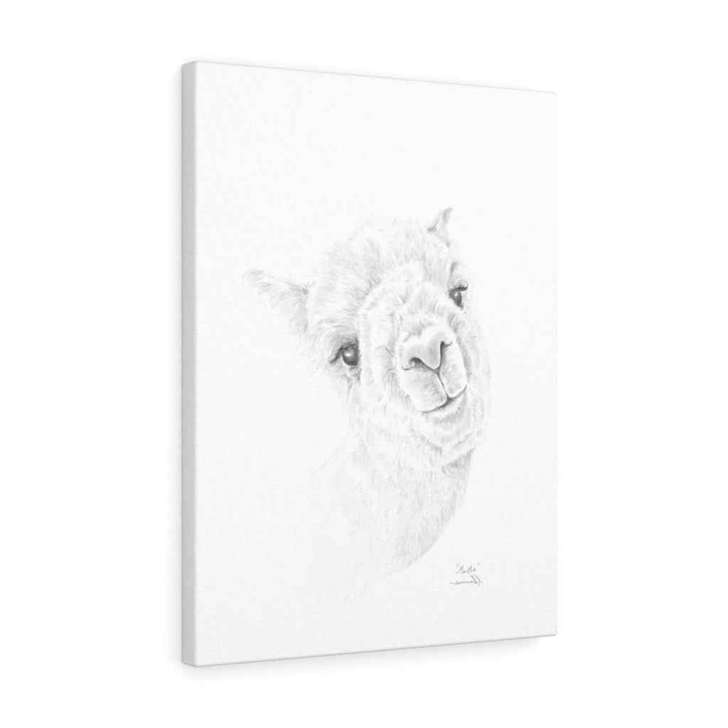MARTHA Llama - Art Canvas