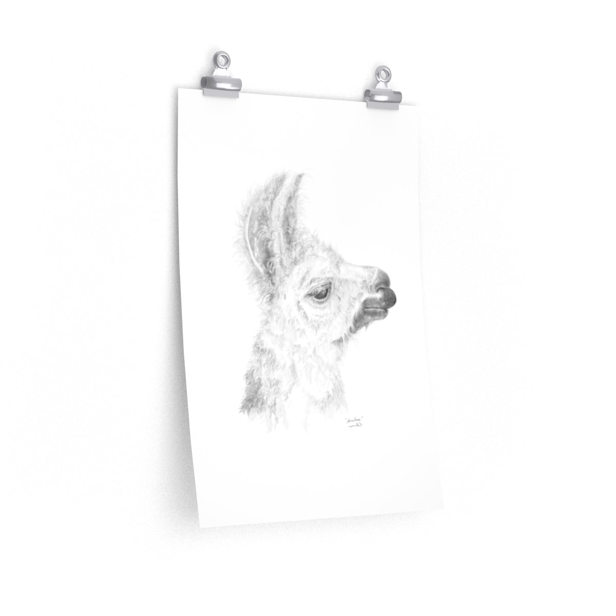 ANNELIESE Llama- Art Paper Print