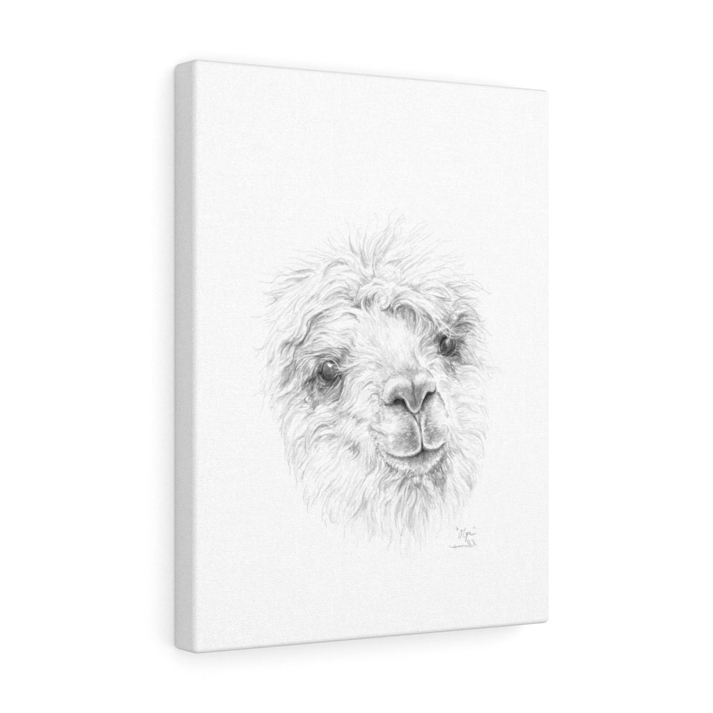 OLGA Llama - Art Canvas
