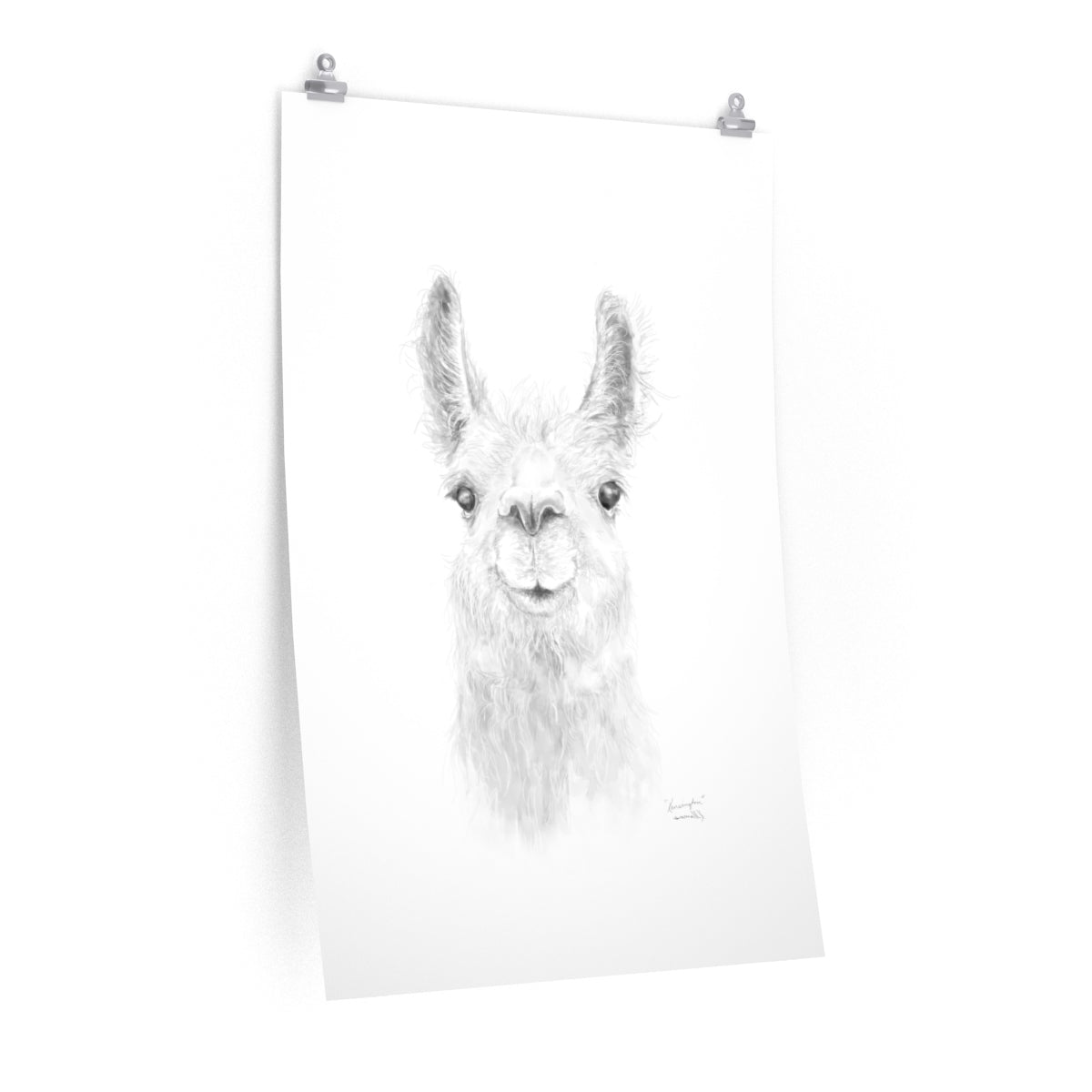 KENSINGTON Llama- Art Paper Print