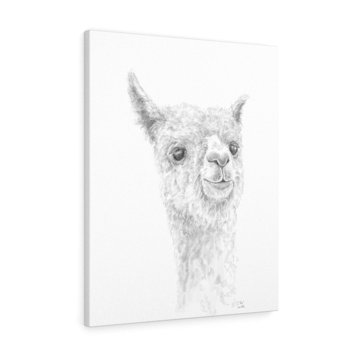 REX Llama - Art Canvas