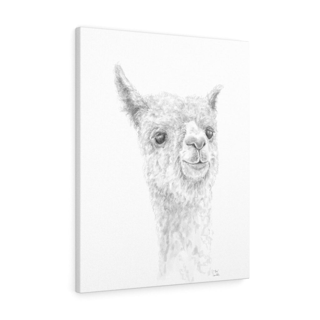REX Llama - Art Canvas
