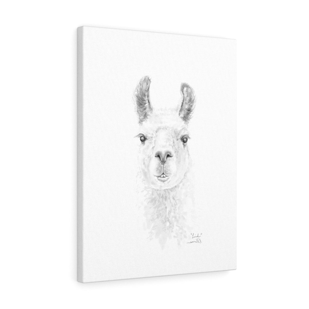 LINH Llama - Art Canvas