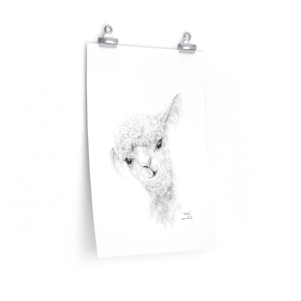 NATALIA Llama- Art Paper Print
