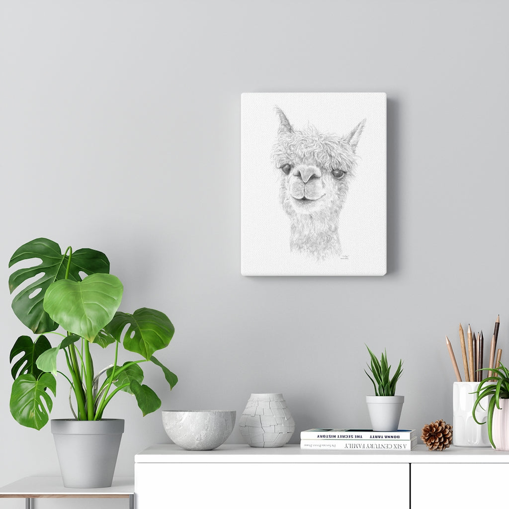 DAKOTA Llama - Art Canvas