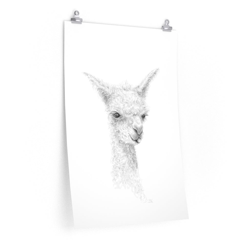 ALICE Llama- Art Paper Print