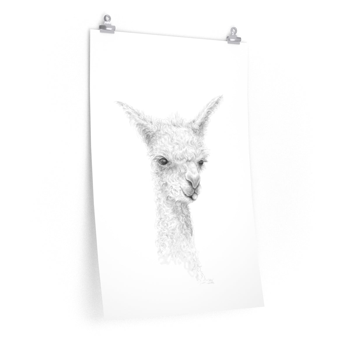 ALICE Llama- Art Paper Print