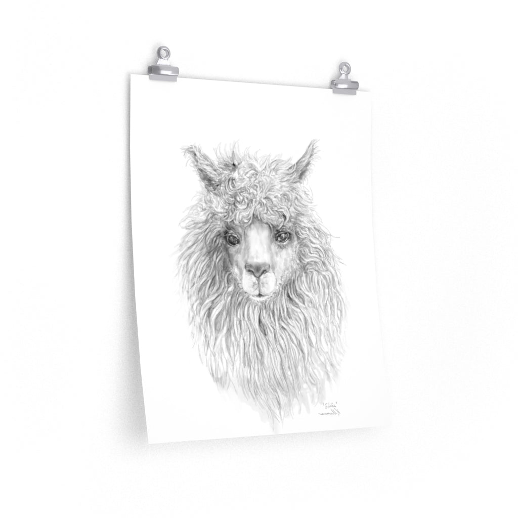 EDDIE Llama- Art Paper Print