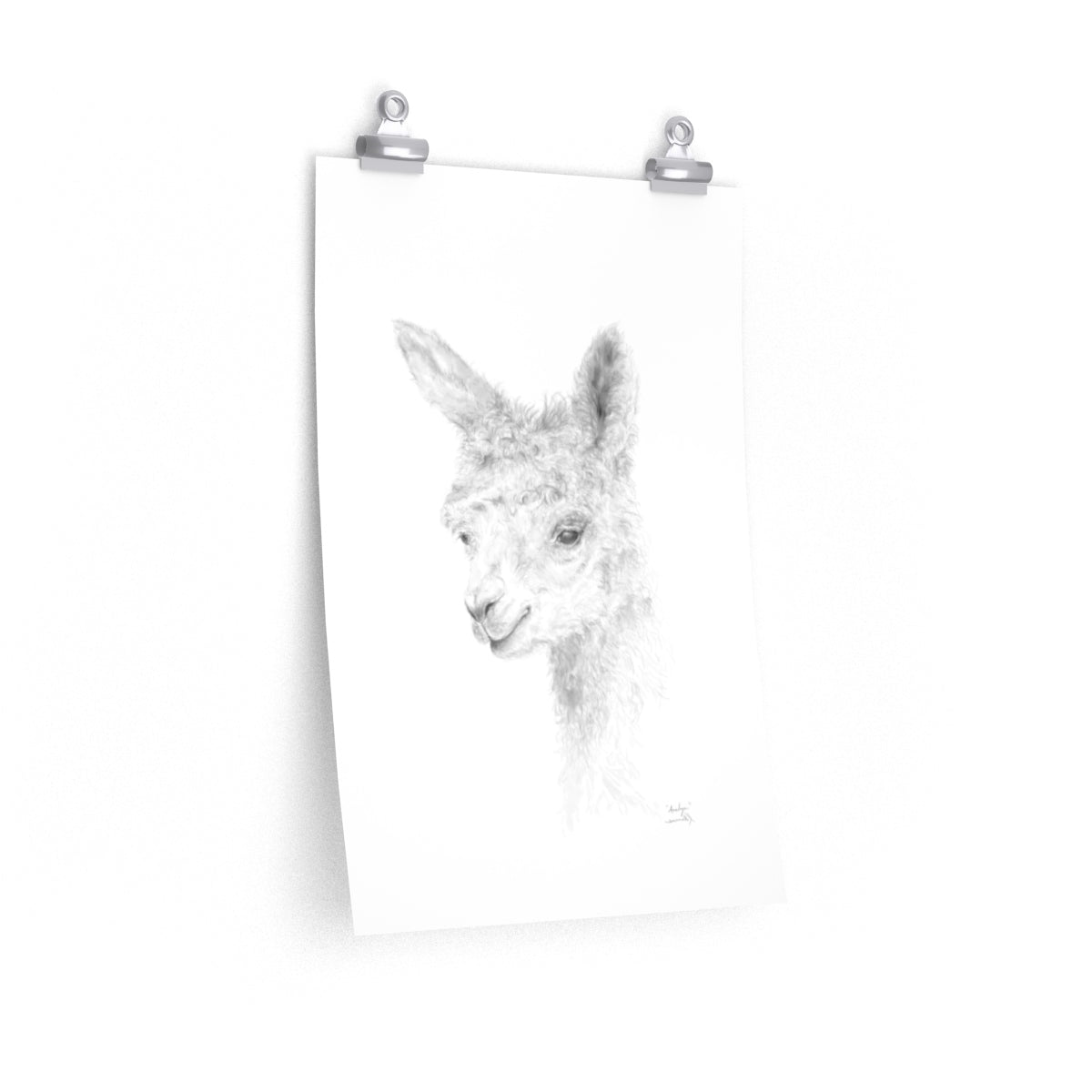 ANALYN Llama- Art Paper Print