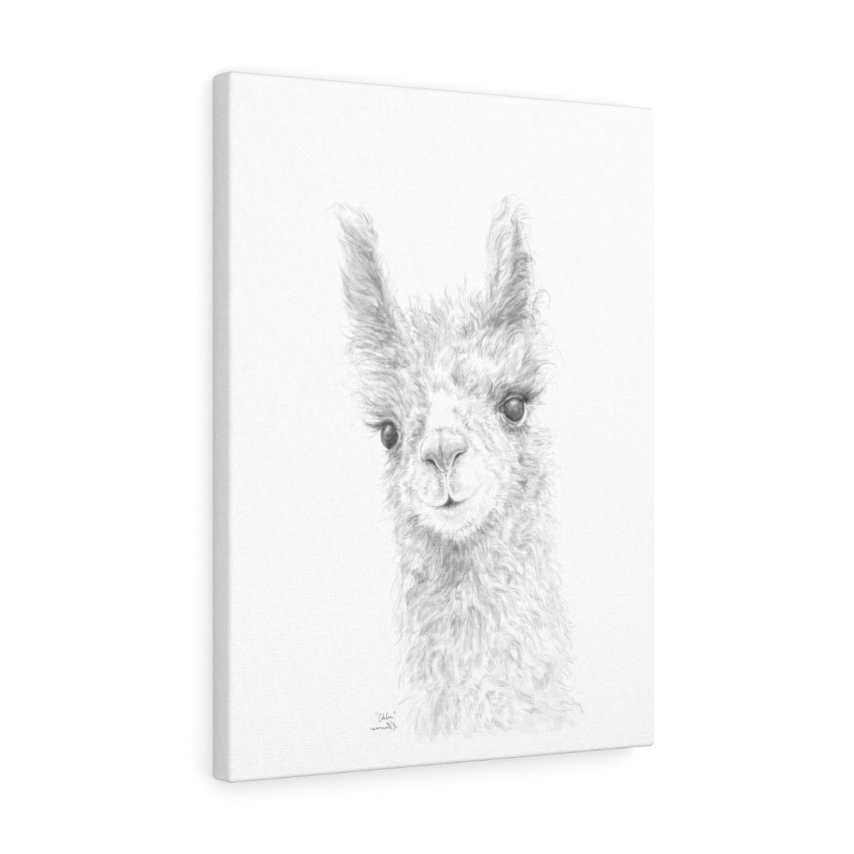 CHLOE Llama - Art Canvas