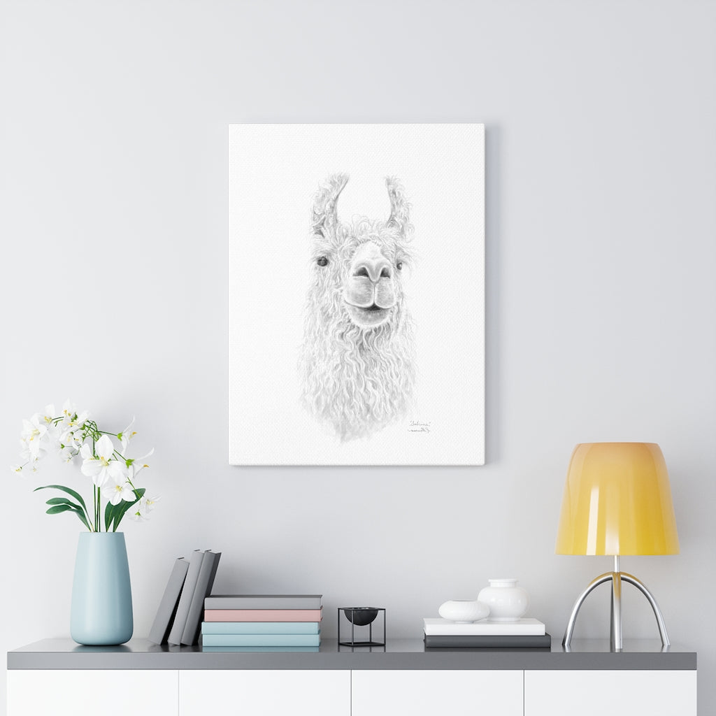 SABRINA Llama - Art Canvas
