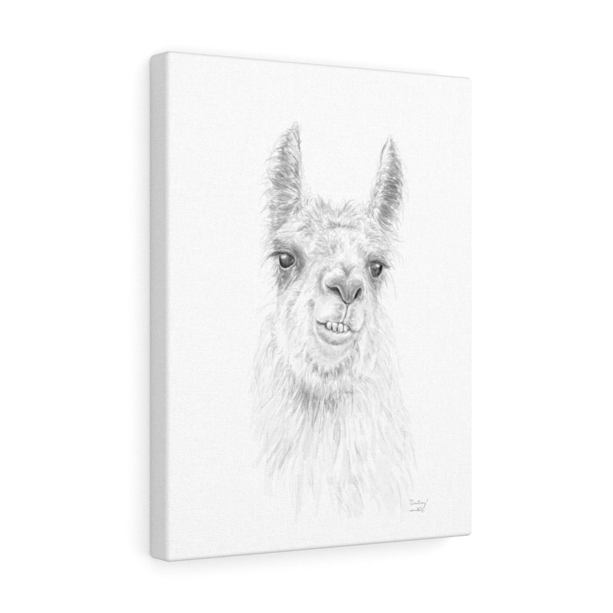 COURTNEY Llama - Art Canvas
