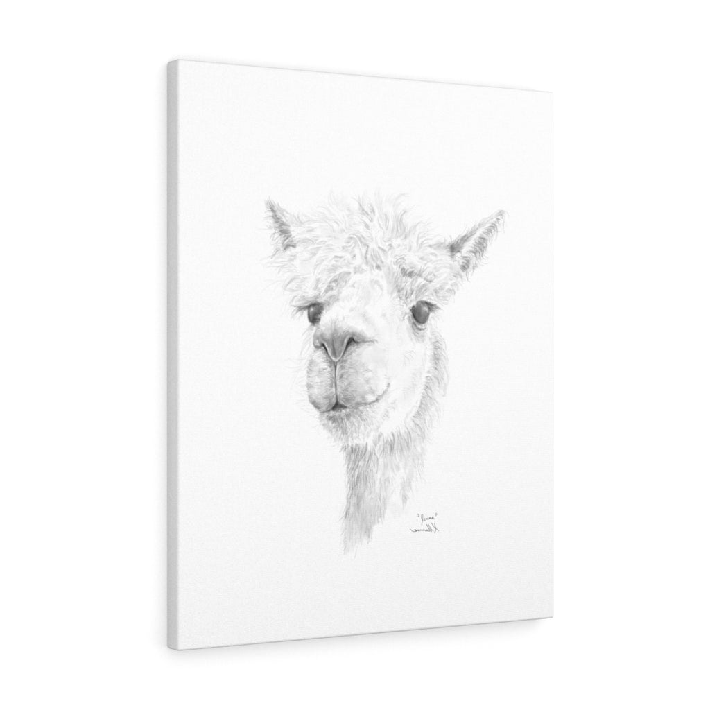 Jenna Llama - Art Canvas