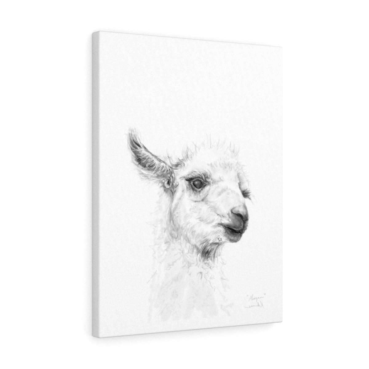 MEAGAN Llama - Art Canvas