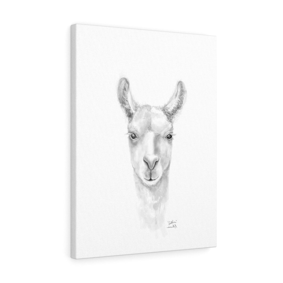 CAITLIN Llama - Art Canvas