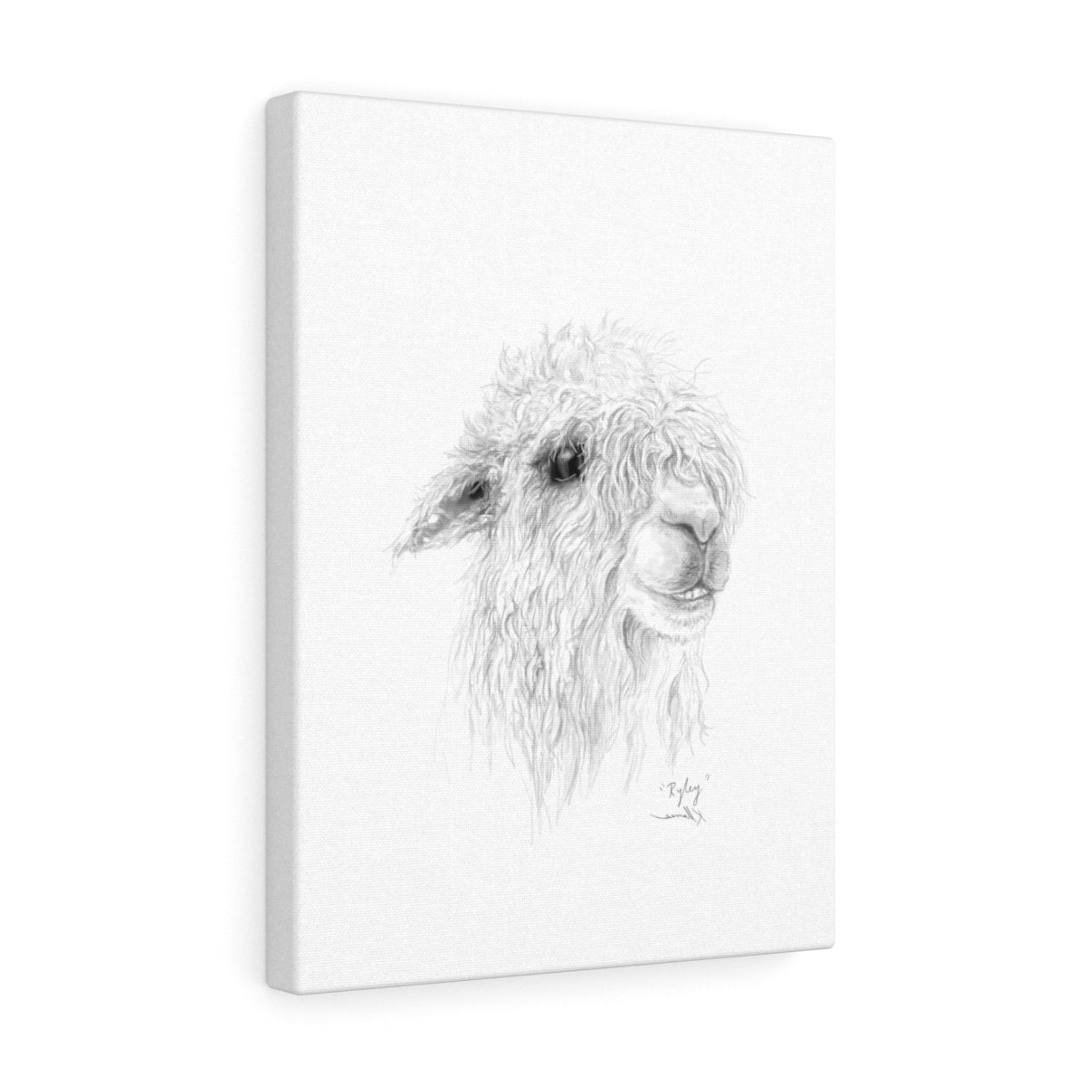 RYLEY Llama - Art Canvas