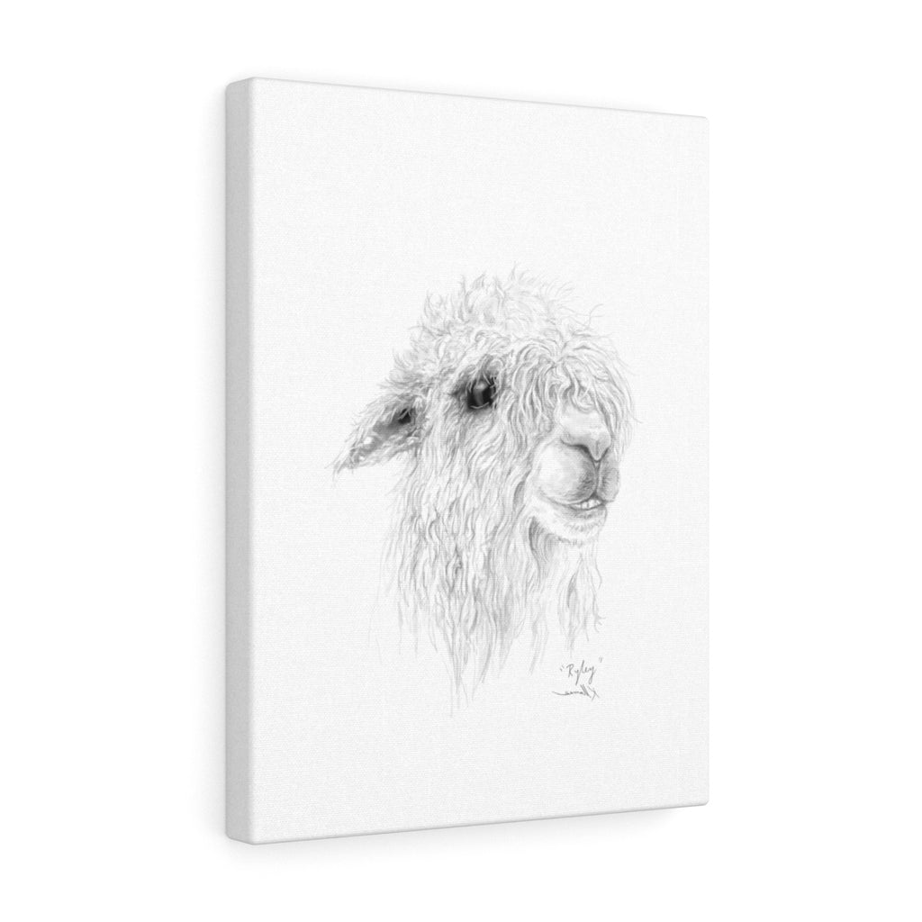 RYLEY Llama - Art Canvas
