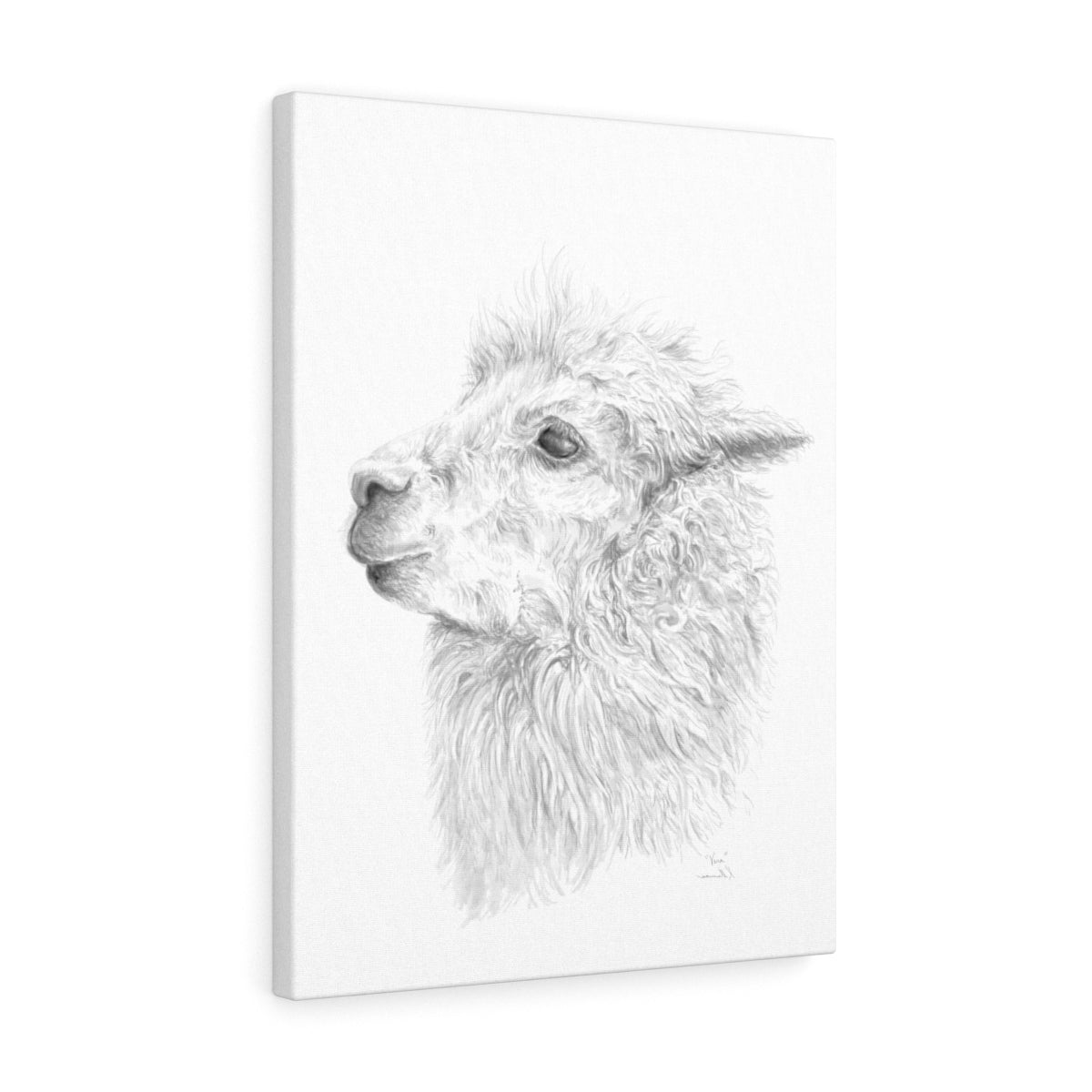 VERA Llama - Art Canvas