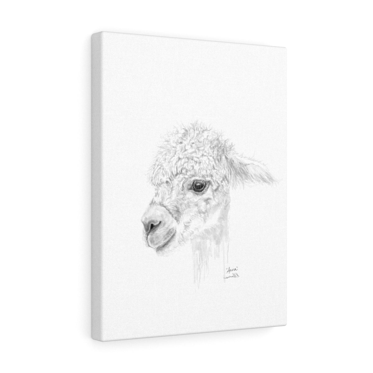 ANNA Llama - Art Canvas