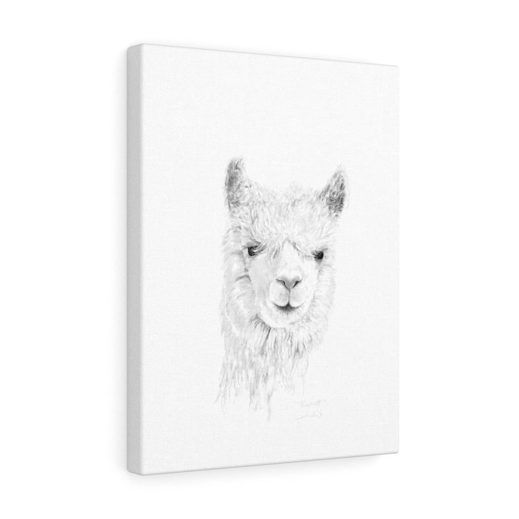PRESCOTT Llama - Art Canvas