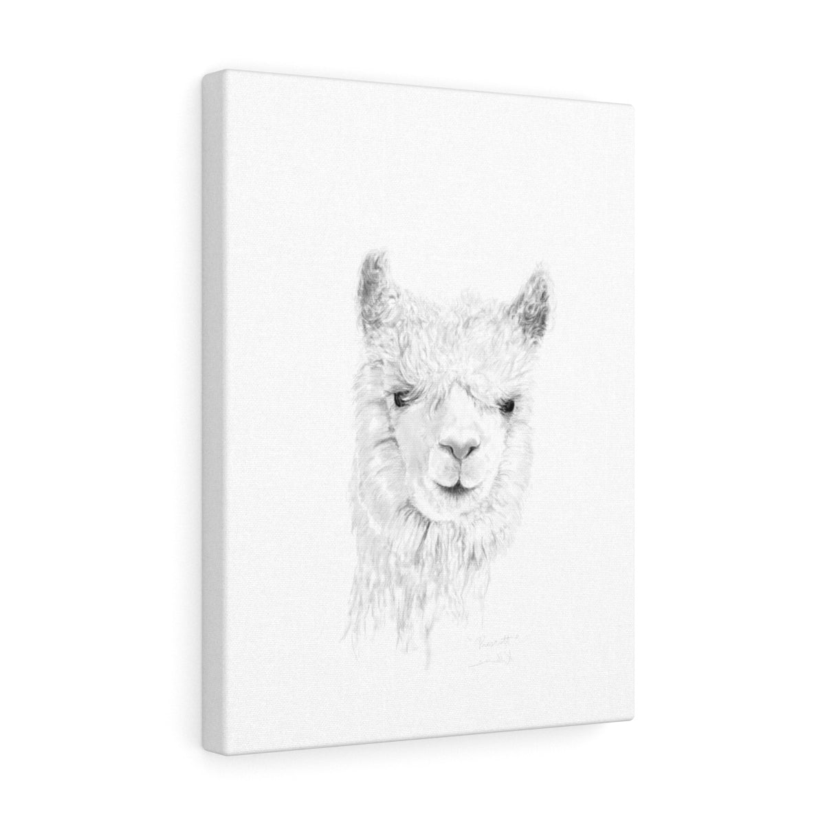 PRESCOTT Llama - Art Canvas