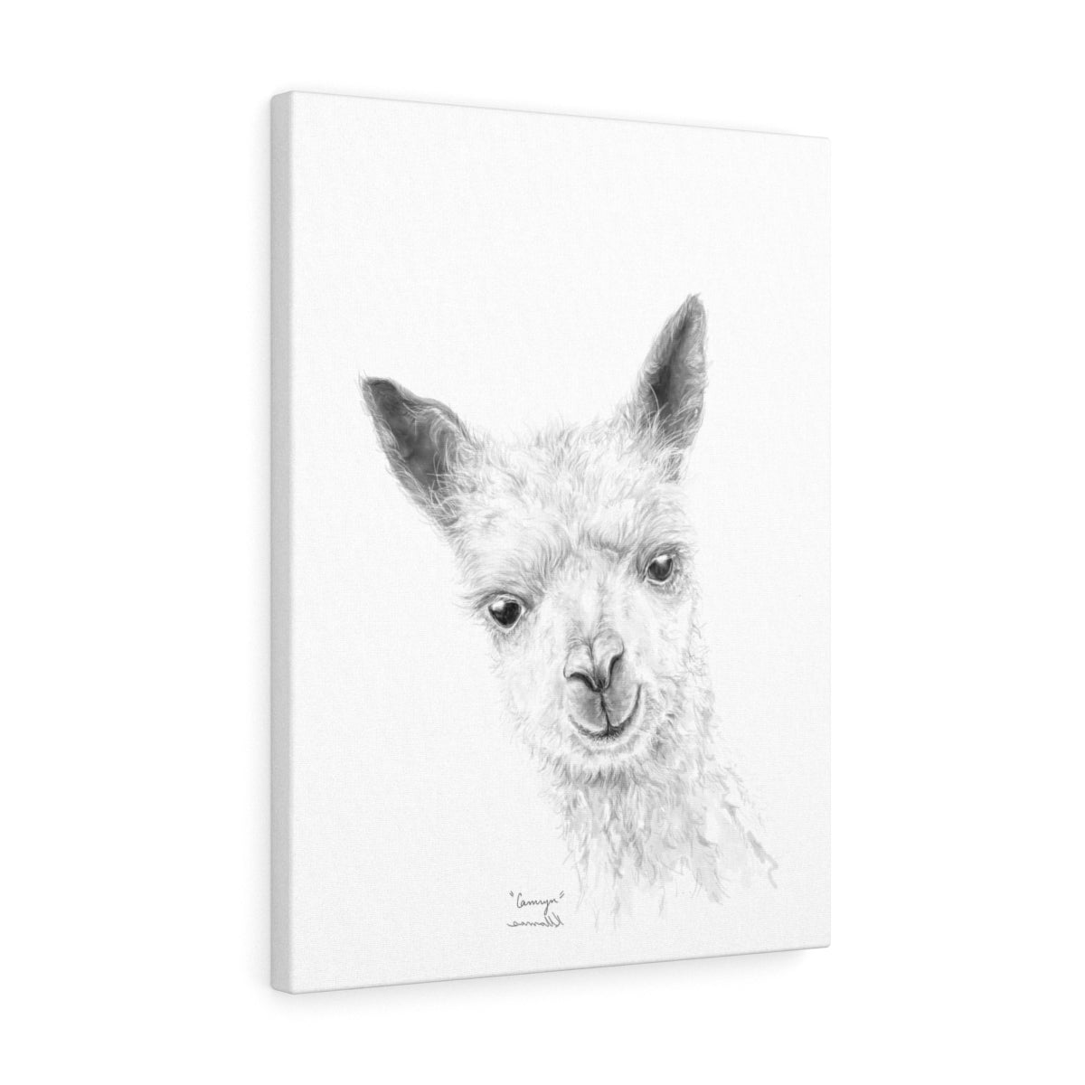 CAMRYN Llama - Art Canvas