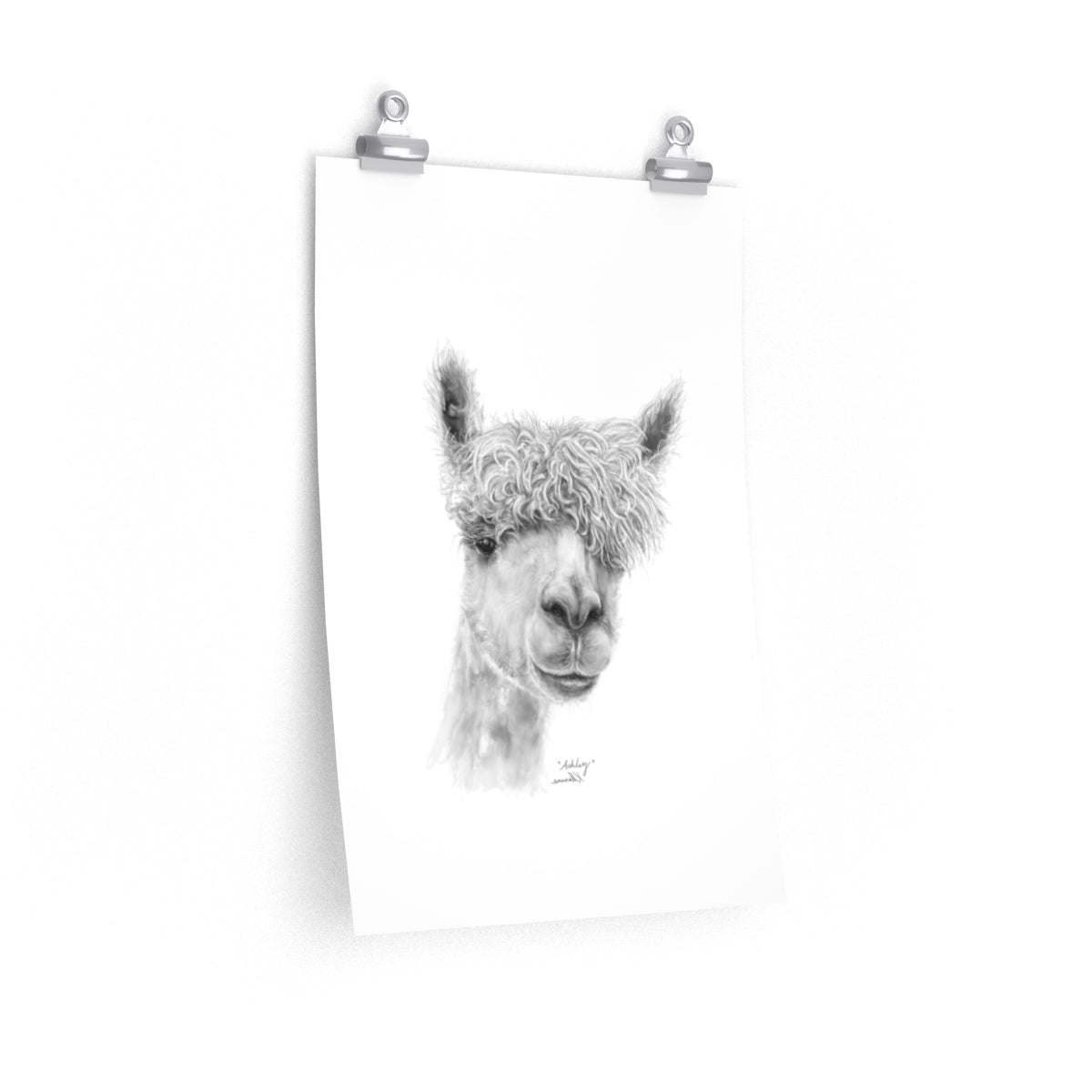 ASHLEY Llama - Art Paper Print