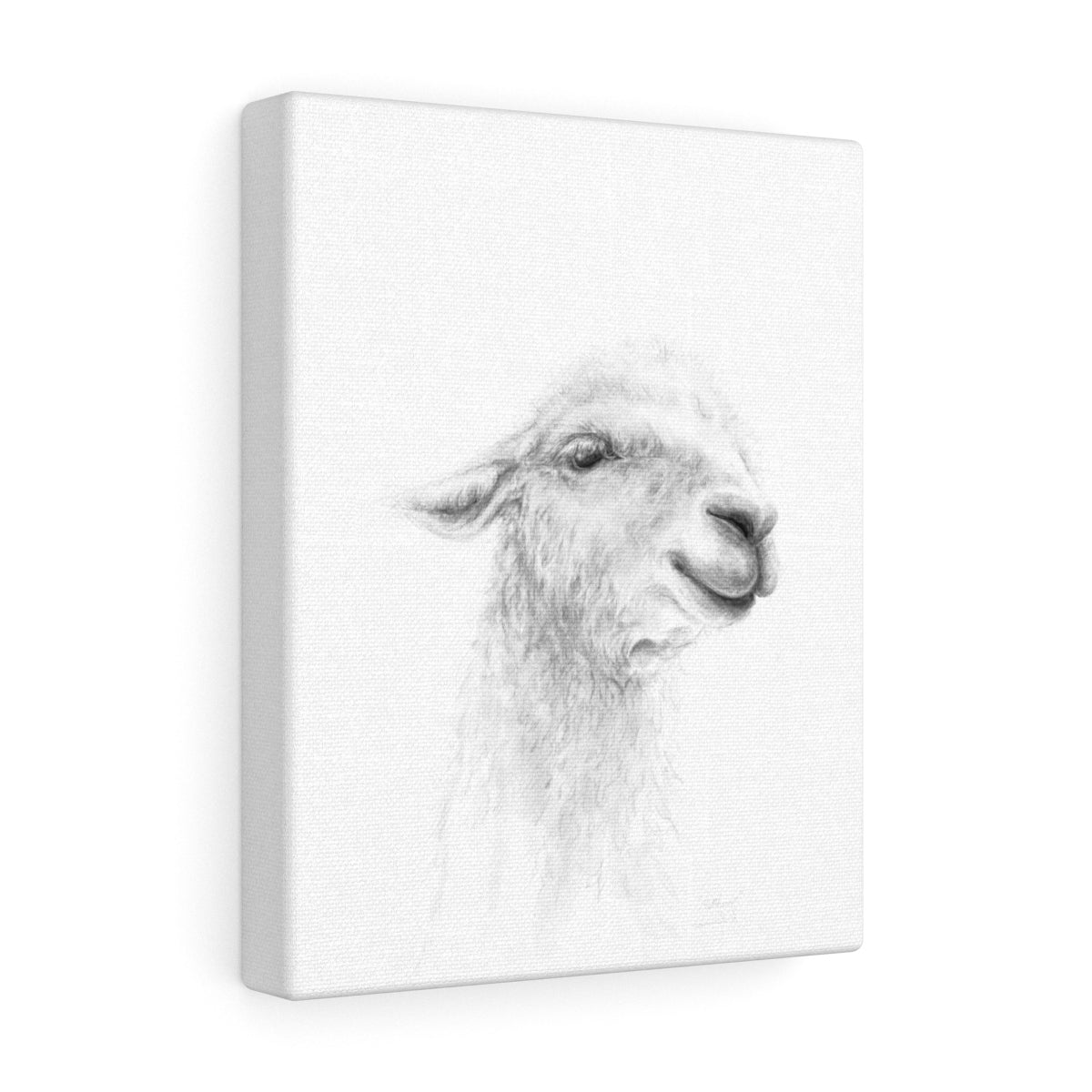 MATTHEW Llama - Art Canvas