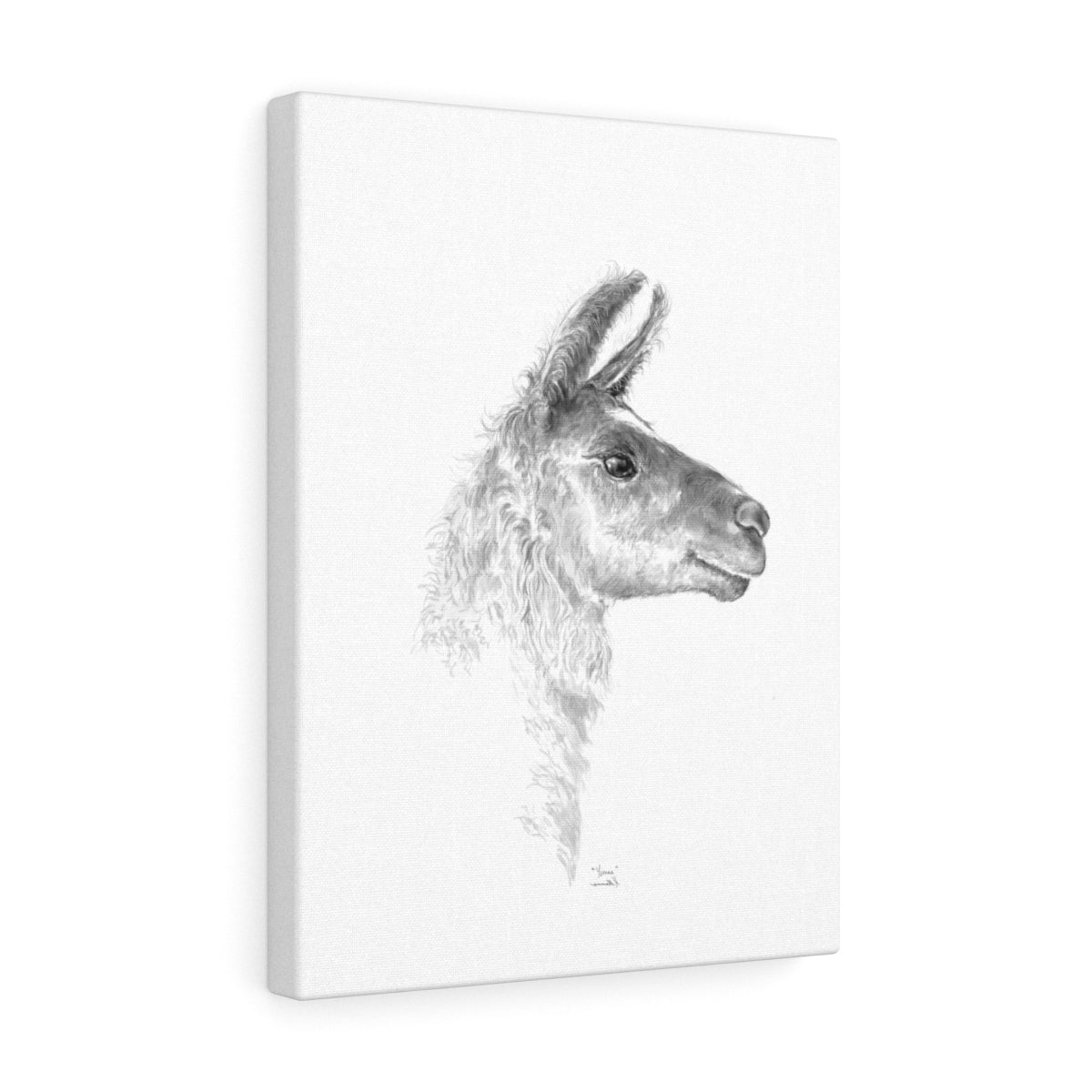 YVONNE Llama - Art Canvas