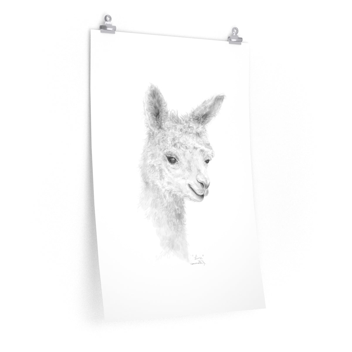 LIVIE Llama- Art Paper Print