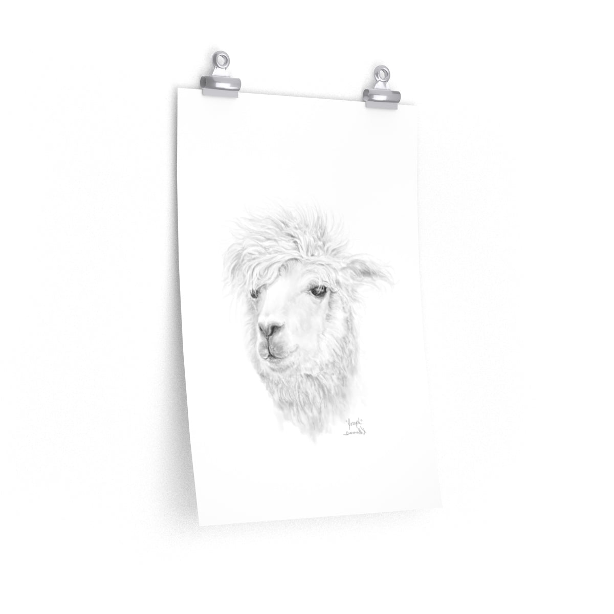 JOSEPH Llama- Art Paper Print